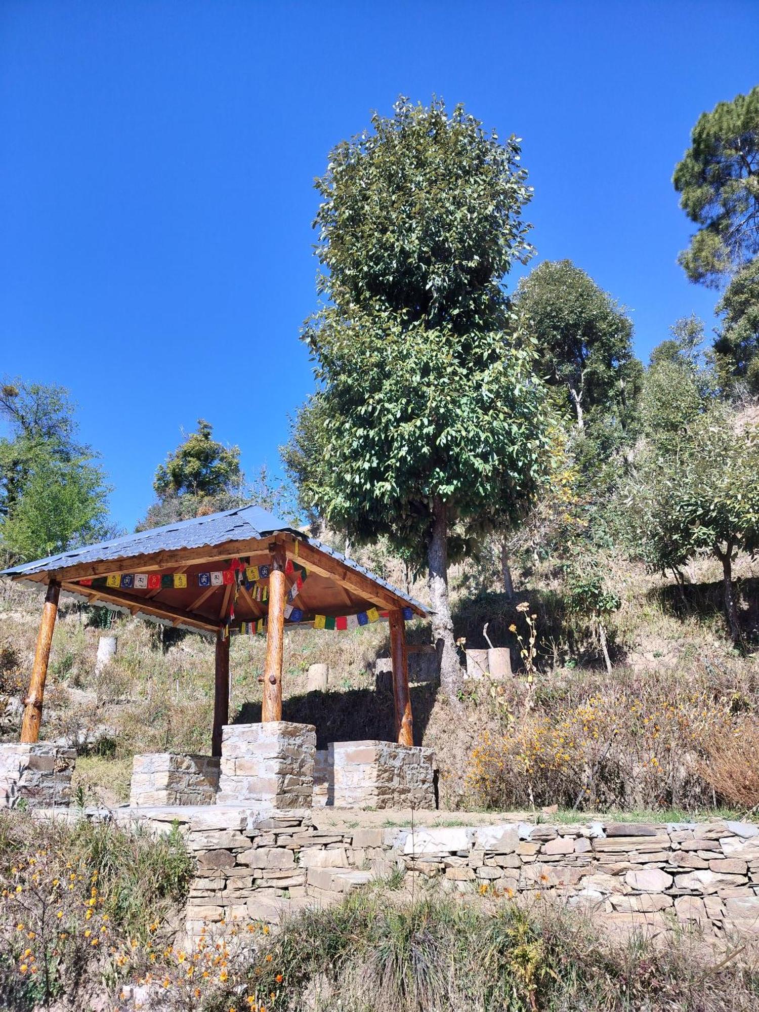 Francolin Lodge-Farmstay @ Darima Mukteshwar Zewnętrze zdjęcie